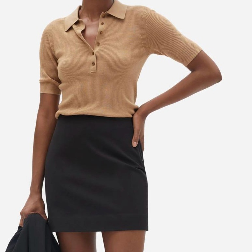 Everlane | NWT The Mini Skirt in Black
